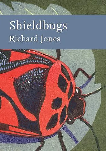 Shieldbugs cover