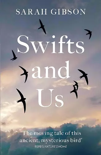 Swifts and Us cover
