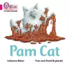 Pam Cat cover