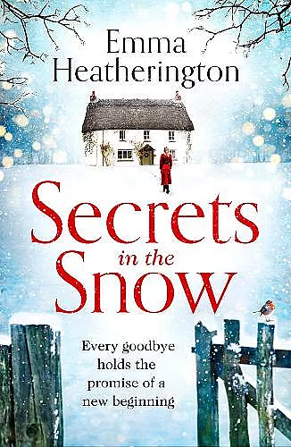 Secrets in the Snow cover