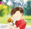 Pip! cover