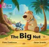The Big Nut cover