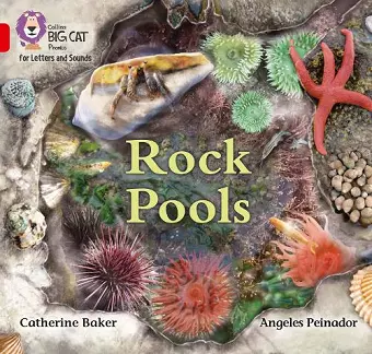 Rock Pools cover