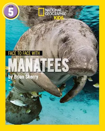 Face to Face with Manatees cover