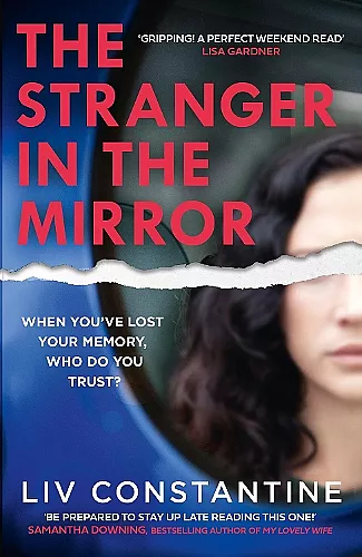 The Stranger in the Mirror cover