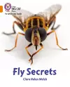 Fly Secrets cover