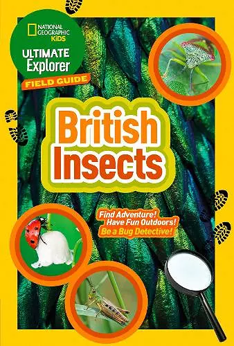 Ultimate Explorer Field Guides British Insects cover