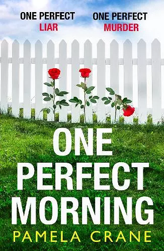 One Perfect Morning cover