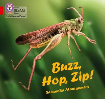 Buzz, Hop, Zip! cover