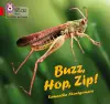 Buzz, Hop, Zip! cover