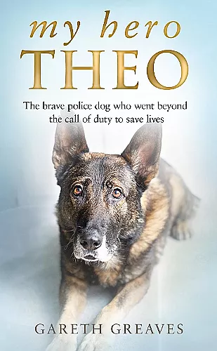 My Hero Theo cover