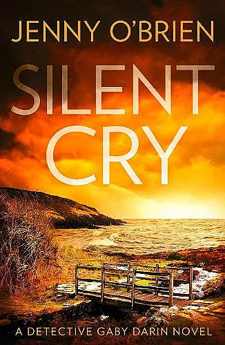 Silent Cry cover