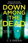 Down Among the Dead cover