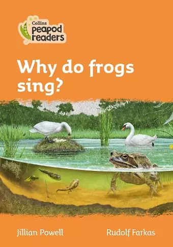 Why do frogs sing? cover