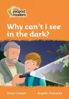 Why can't I see in the dark? cover