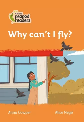 Why can’t I fly? cover