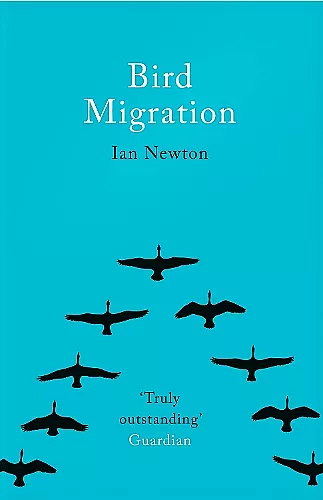 Bird Migration cover