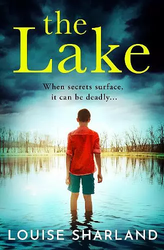 The Lake cover