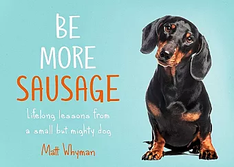 Be More Sausage cover
