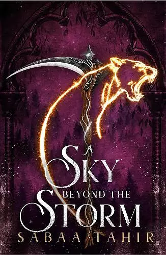 A Sky Beyond the Storm cover