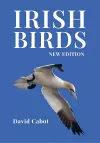 Irish Birds cover