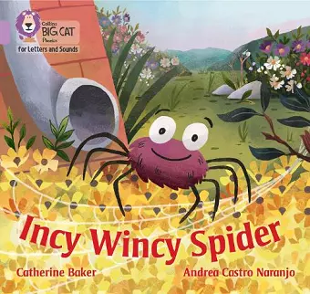 Incy Wincy Spider cover