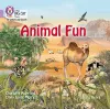 Animal Fun Big Book cover