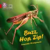 Buzz, Hop, Zip! Big Book cover