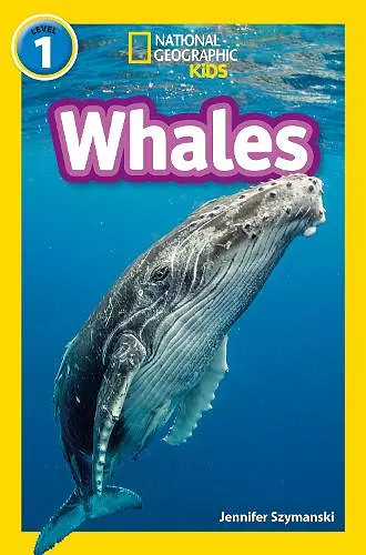 Whales cover