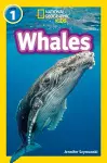 Whales cover