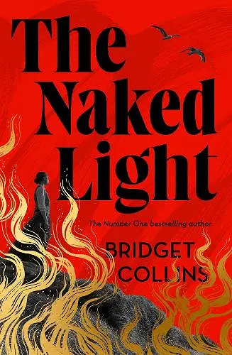 The Naked Light cover