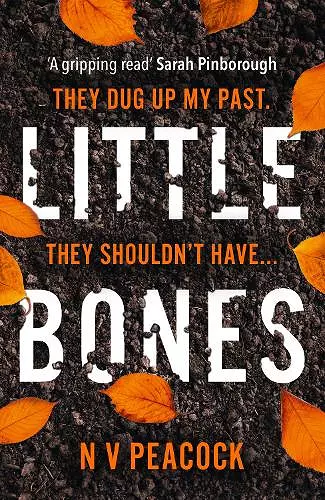 Little Bones cover