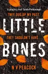 Little Bones cover