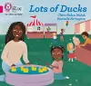 Lots of Ducks cover