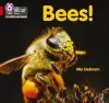 Bees! cover