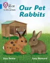 Our Pet Rabbits cover