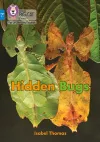 Hidden Bugs cover