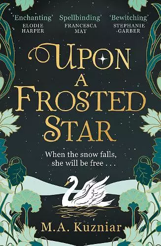 Upon a Frosted Star cover