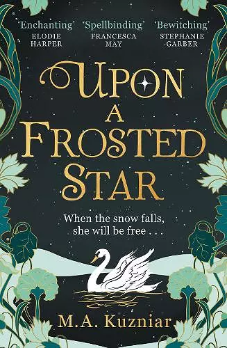Upon a Frosted Star cover