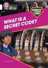 Shinoy and the Chaos Crew: What is a secret code? cover