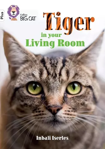 Tiger in Your Living Room cover