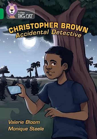 Christopher Brown: Accidental Detective cover