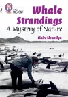 Whale Strandings: A Mystery of Nature cover