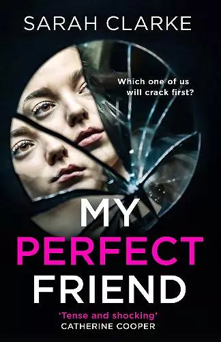 My Perfect Friend cover