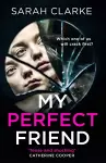 My Perfect Friend cover