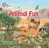 Animal Fun cover