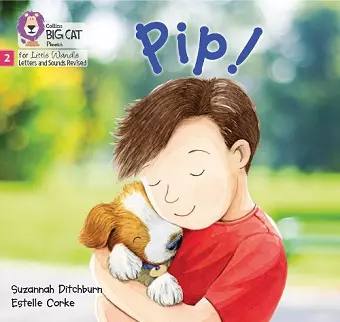 Pip! cover
