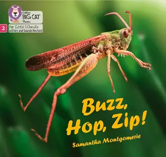 Buzz, Hop, Zip! cover