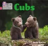 Cubs cover