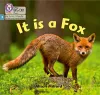 It is a Fox cover